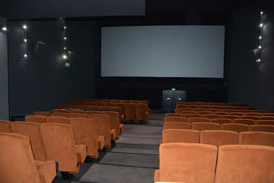 Le Rex