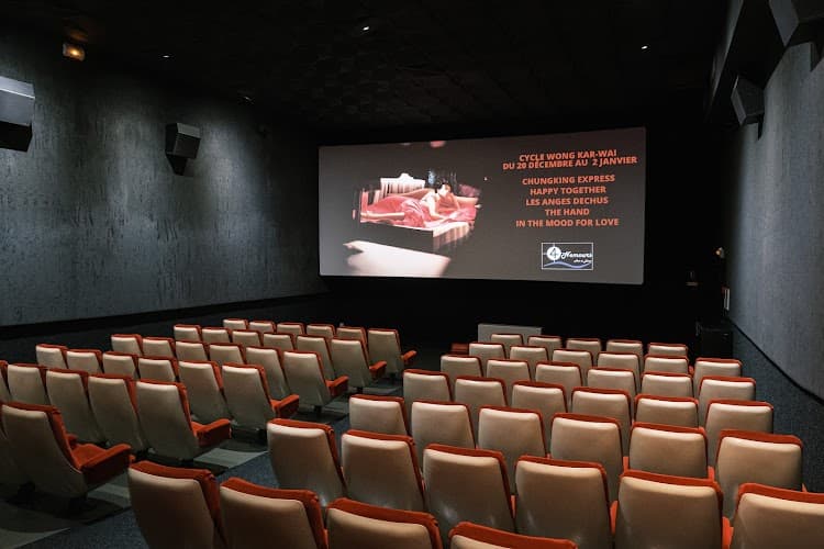 Nemours cinema in Annecy