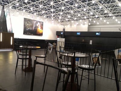 STUDIO GEEL