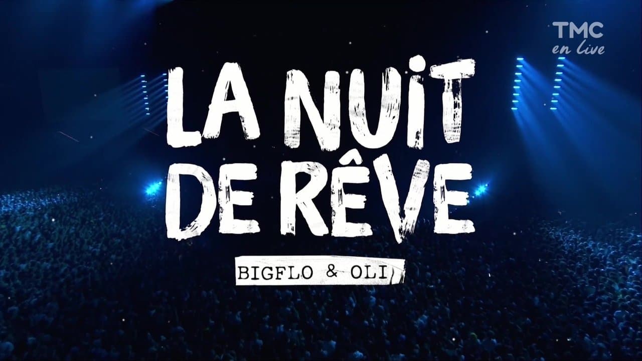 La Nuit De Reve De Bigflo Et Oli