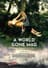 A World Gone Mad - The War Diaries of Astrid Lindgren