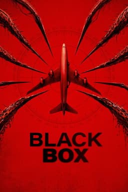 Black Box (Flight 298)