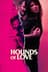 Hounds of Love