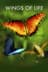 Wings of Life