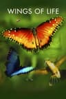 Wings of Life