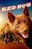 Red Dog