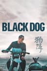 Black Dog
