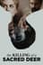 The Killing of a Sacred Deer