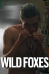 Wild Foxes