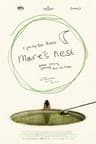 Mare's Nest