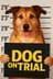 Dog on Trial