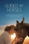 Guided by Horses