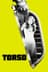 Torso