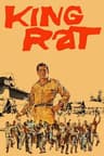 King Rat