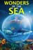 Wonders of the Sea