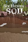 Six Inches of Soil