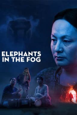 Elephants in the Fog