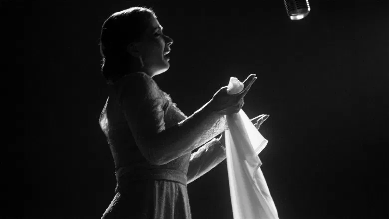 El Sett