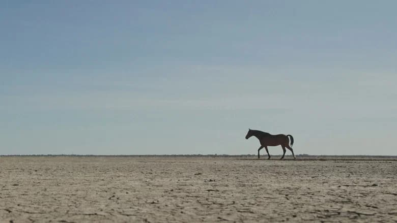 Guided by Horses