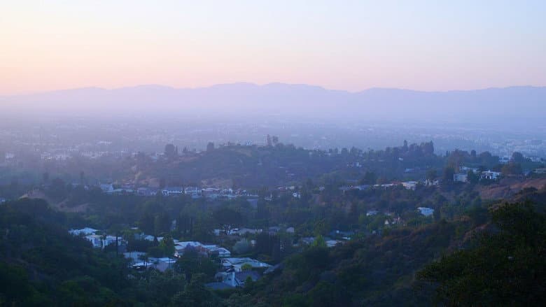 California Schemin'
