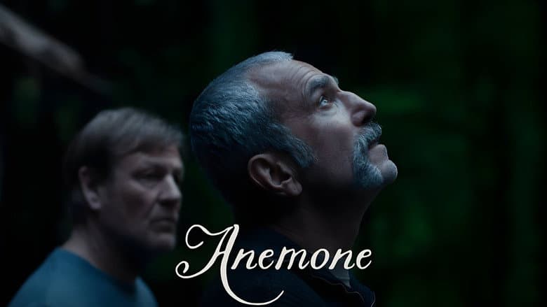 Anemone