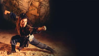 Kung Fu Cult Master