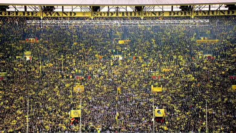 Wir Die Wand