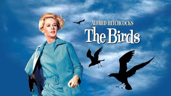 The Birds