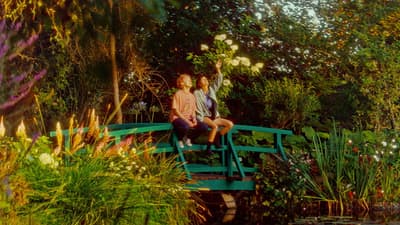 A Second Life