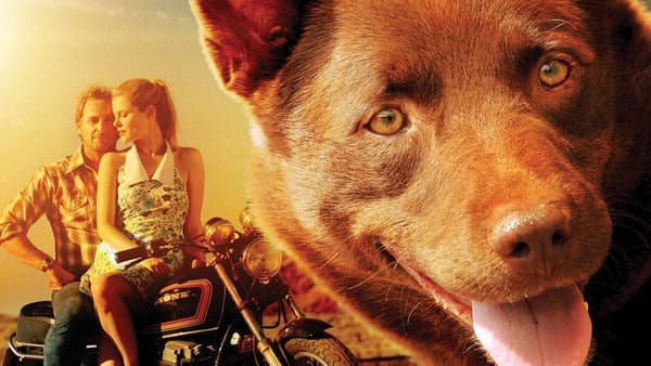 Red Dog