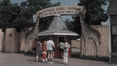 American Zoo