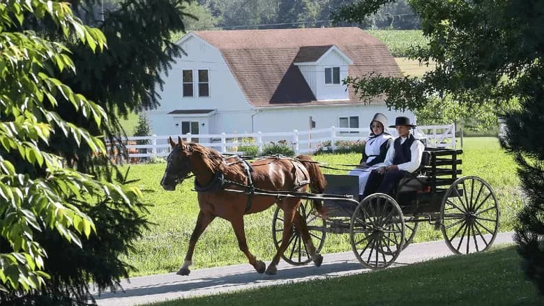 The Amish Dilemma