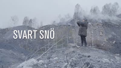 Black Snow