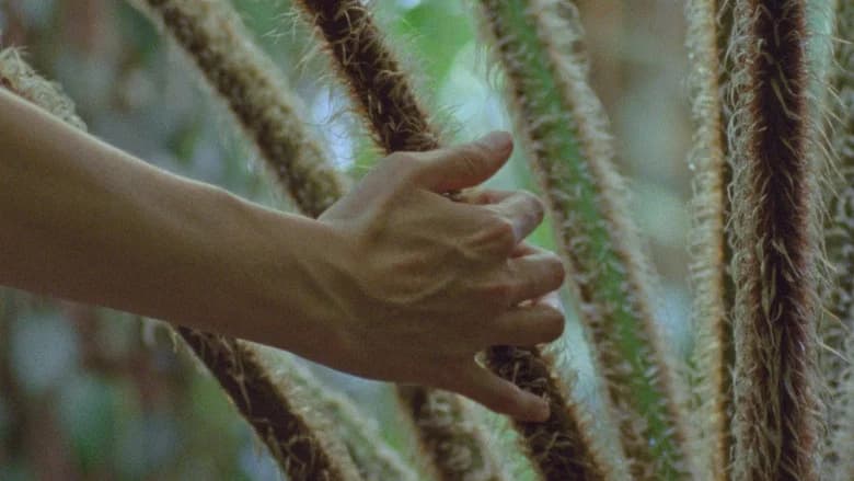 Estados generales