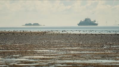 Fohr 5 Meter Uber Null