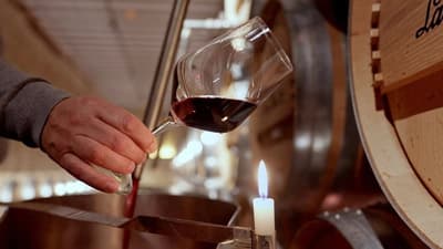 Rioja: The Land of a Thousand Wines
