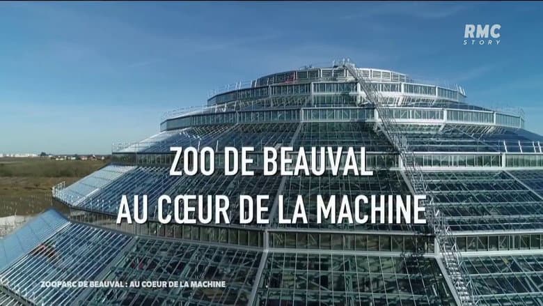 Zoo De Beauval Au Coeur De La Machine