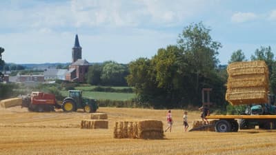 Un Ete A La Ferme L Age D Or