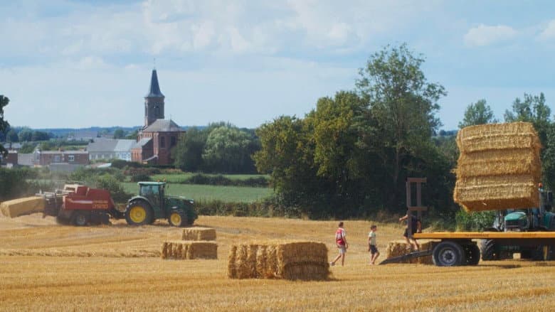 Un Ete A La Ferme L Age D Or