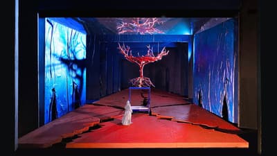 The Metropolitan Opera: El Último Sueño de Frida y Diego